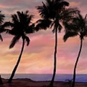 Palm Tree Sunset With Canoe Art Print