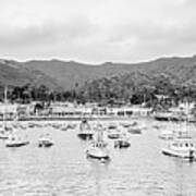 Panorama Of Catalina Island Avalon Bay Art Print