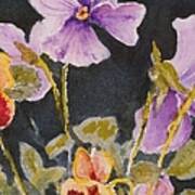 Pansies Art Print