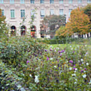Paris Palais Royal Gardens - Paris Autumn Fall Gardens Palais Royal Rose Garden - Paris In Bloom Art Print