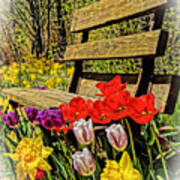 Park Bench W/ Spring Flowers Art Print