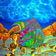 Parrotfish And Smallmouth Grunt Art Print
