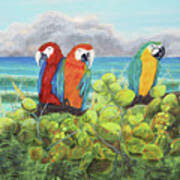 Parrots In Paradise Art Print