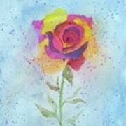 Particolored Rose Art Print