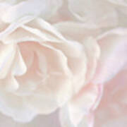 Pastel Rose Flowers Art Print