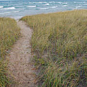 Path To The Beach Art Print