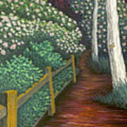 Pathway Home Through Mountain Laurel Blooms Art Print