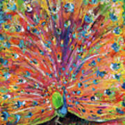 Peacock Splendor Birds Of Color Art Print