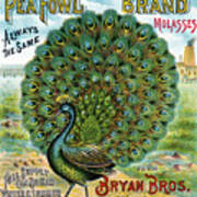 Peafowl Brand Molasses. Art Print