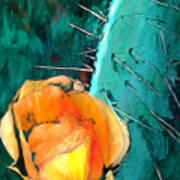 Pear Cactus Art Print