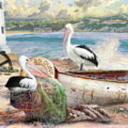 Pelican Cove Art Print