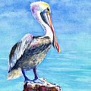 Pelican On A Post Art Print