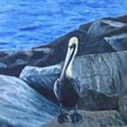 Pelican On The Rocks Art Print