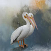 Pelican Pair Art Print