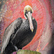 Pelican With Red Art Print