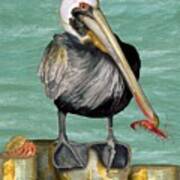 Pelican With Shrimp Art Print