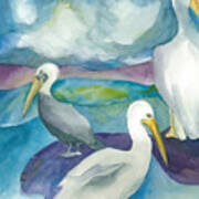 Pelicans Art Print