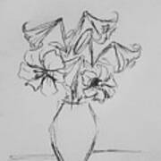 Pencil Sketch Of Lily Art Print