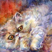 Persian Cat Painting Art Print