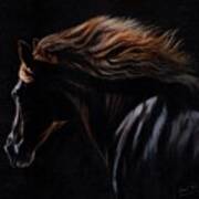 Peruvian Paso Horse Art Print