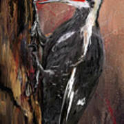 Pileated Woodpecker Art Art Print