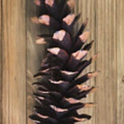 Pine Cone I Art Print