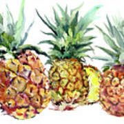 Pineapples Art Print