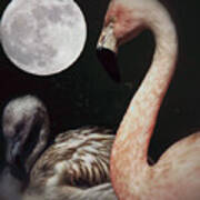 Pink Flamingo Moon 2 Art Print