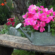 Pink Petunias In Watering Can Art Print