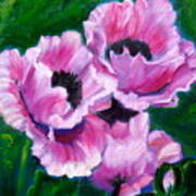 Pink Poppies Art Print