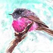 Pink Robin Art Print