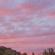 Pink Sky Desert Sunset Art Print