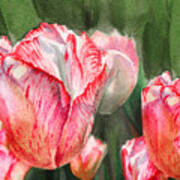 Pink Tulips By Irina Sztukowski Art Print