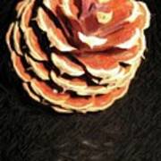 Pitch Pine Cone Art Print