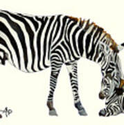 Plains Zebras Art Print