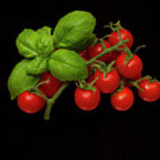 Plum Cherry Tomatoes Basil Art Print