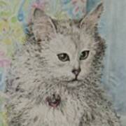 Poised Cat Art Print