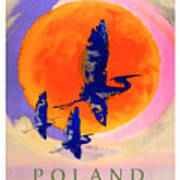 Poland, Flying Storks On The Sun, Travel Poster Art Print