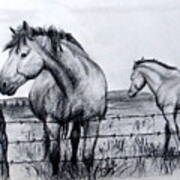 Ponder Texas Horses Art Print
