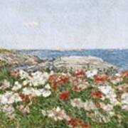 Poppies On The Isles Of Shoals Art Print