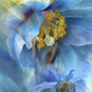 Poppies So Blue Art Print