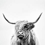 Portrait Of A Highland Cow - Vertical Orientation Art Print