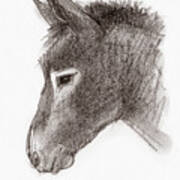 Portrait Of A Mule Art Print