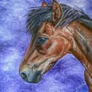Portrait Of A Pony Art Print