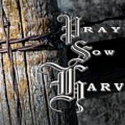 Pray Sow Harvest Art Print