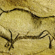 Prehistoric Bison 2 - La Covaciella Art Print