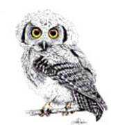 Pretty Little Owl Art Print