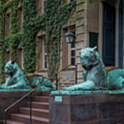 Princeton University Nassau Hall Tigers Art Print
