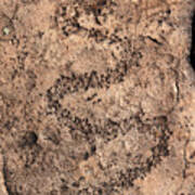 Provo Canyon Petroglyph Bp1_0764 Art Print