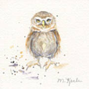 Puck - Little Owl Art Print